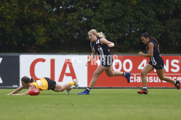 NAB League Girls 2022 Semi Final - Dandenong v Geelong - 928857