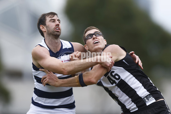 VFL 2022 Round 02 - Collingwood v Geelong - 929070