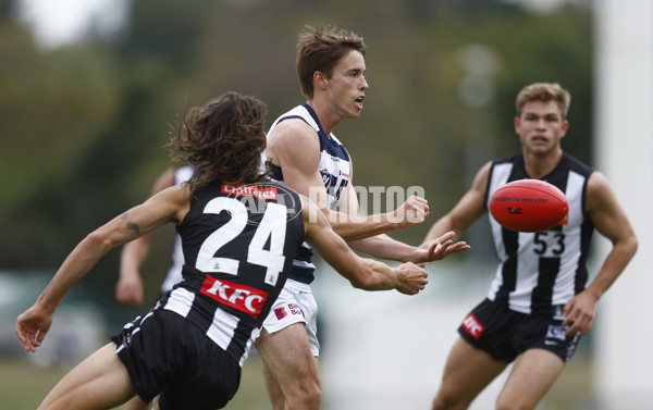 VFL 2022 Round 02 - Collingwood v Geelong - 929094