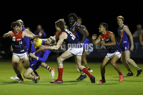 VFL 2022 Round 03 - Williamstown v Casey - 932489