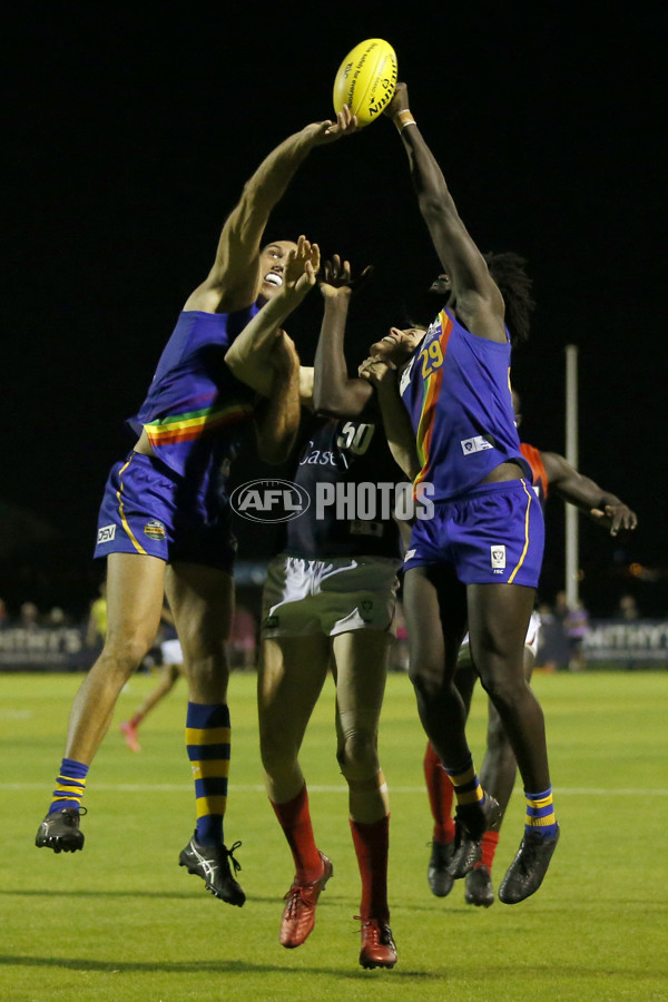 VFL 2022 Round 03 - Williamstown v Casey - 932820