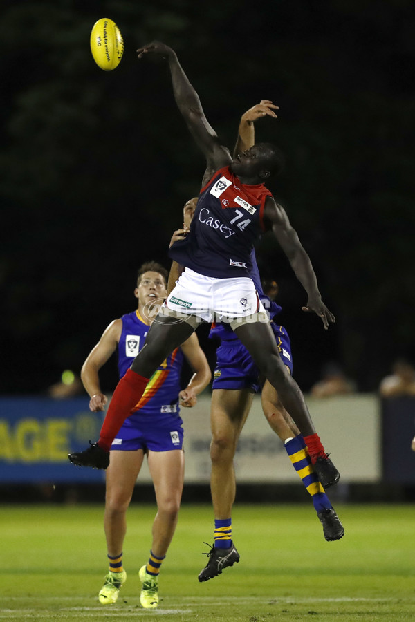 VFL 2022 Round 03 - Williamstown v Casey - 932927