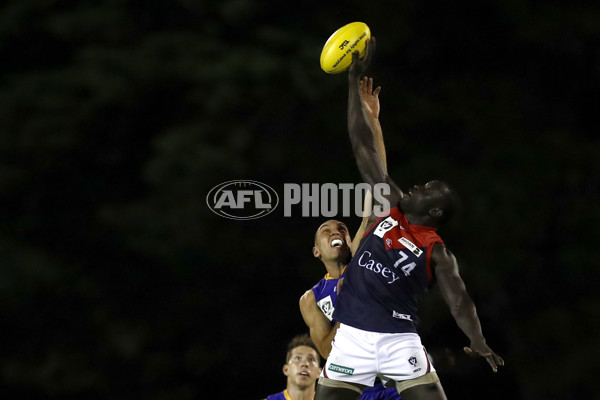 VFL 2022 Round 03 - Williamstown v Casey - 932928