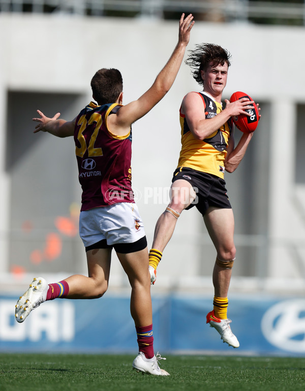 NAB League Boys 2022 Round 02 - Dandenong v Brisbane - 933231