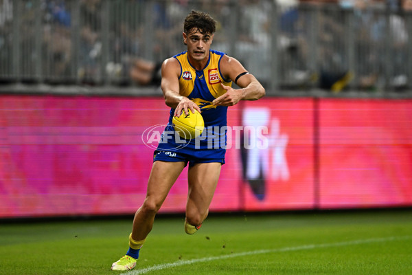 AFL 2022 Round 05 - West Coast v Sydney - 934944