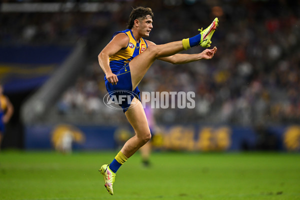 AFL 2022 Round 05 - West Coast v Sydney - 935082