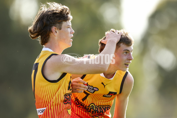 NAB League Boys 2022 - Murray Futures v Dandenong Futures - 935558