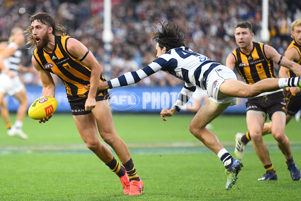 AFL 2022 Round 05 - Hawthorn v Geelong - 936926