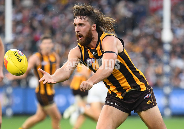 AFL 2022 Round 05 - Hawthorn v Geelong - 936928