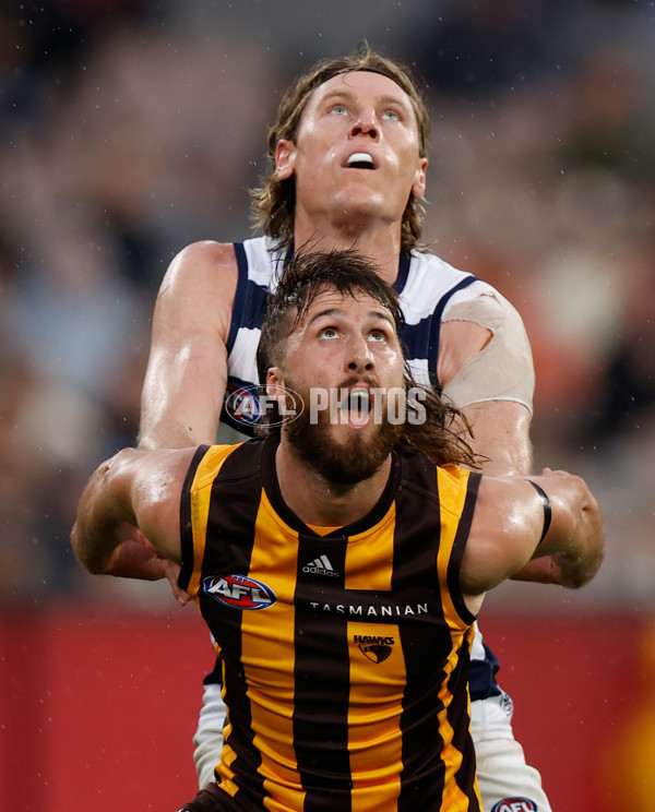 AFL 2022 Round 05 - Hawthorn v Geelong - 937144