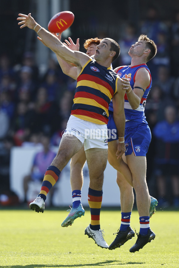 AFL 2022 Round 06 - Western Bulldogs v Adelaide - 938040