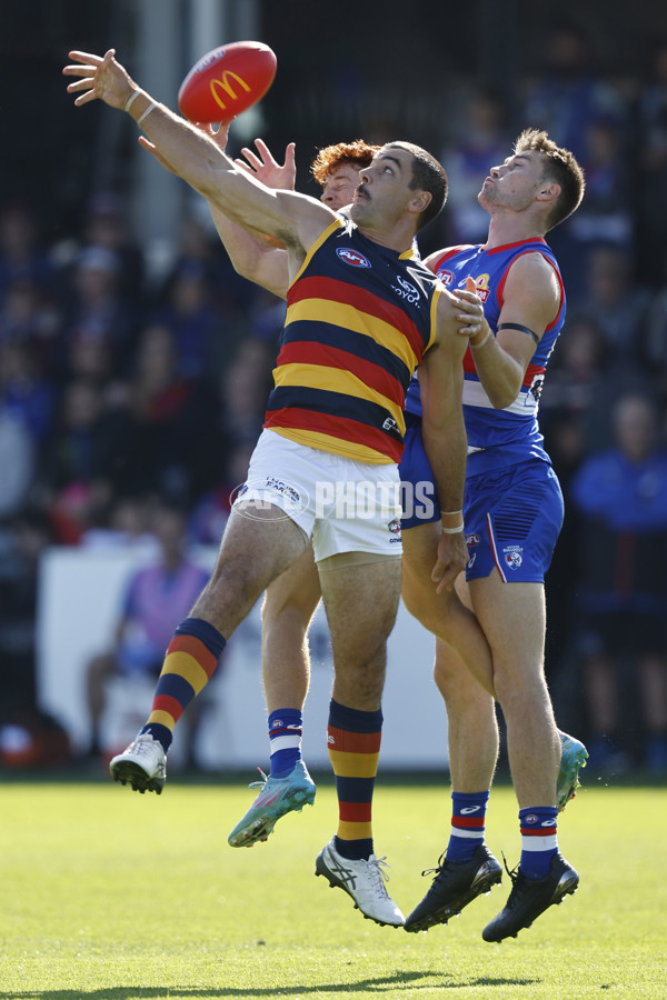 AFL 2022 Round 06 - Western Bulldogs v Adelaide - 938040