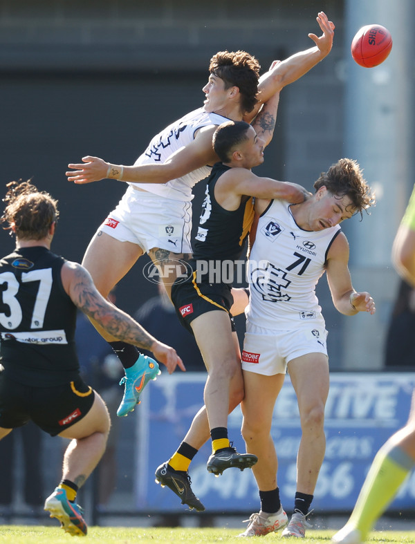 VFL 2022 Round 05 - Werribee v Carlton - 938150