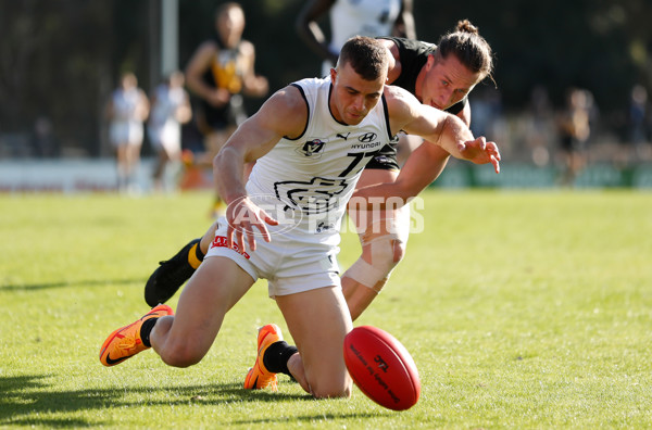 VFL 2022 Round 05 - Werribee v Carlton - 938182