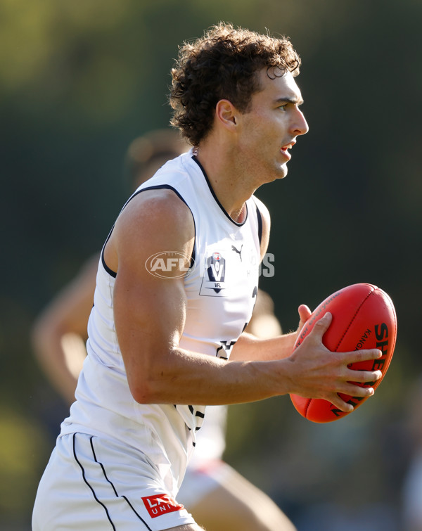 VFL 2022 Round 05 - Werribee v Carlton - 938210