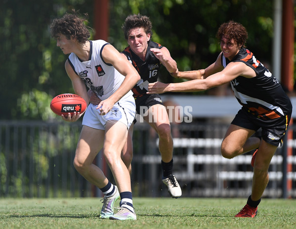 NAB League Boys 2022 Round 04 - NT v Geelong - 940634