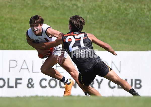 NAB League Boys 2022 Round 04 - NT v Geelong - 940632