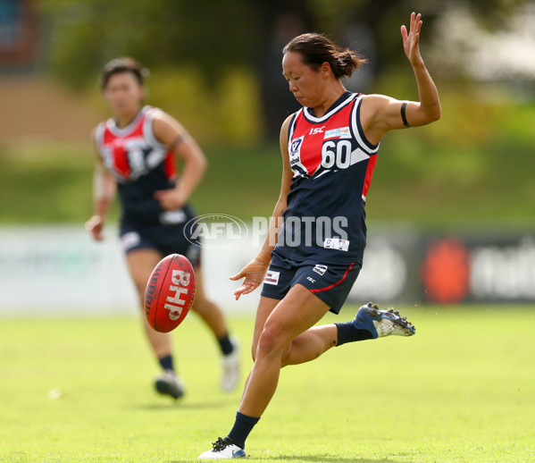 VFLW 2022 Round 10 - Darebin v Collingwood - 941360