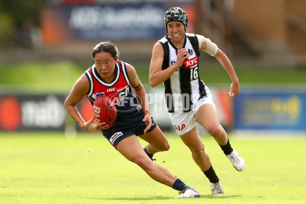 VFLW 2022 Round 10 - Darebin v Collingwood - 941286