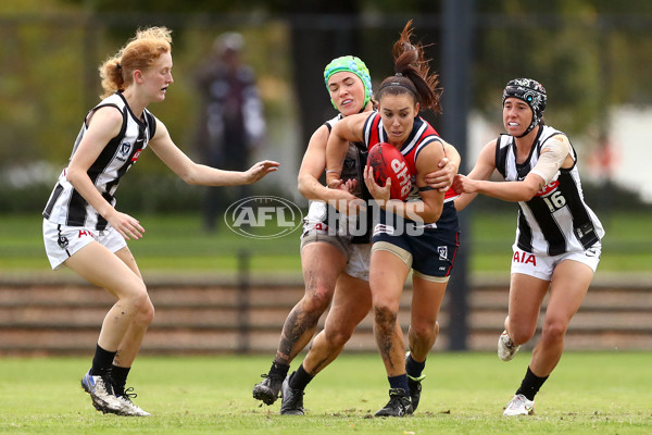 VFLW 2022 Round 10 - Darebin v Collingwood - 941351