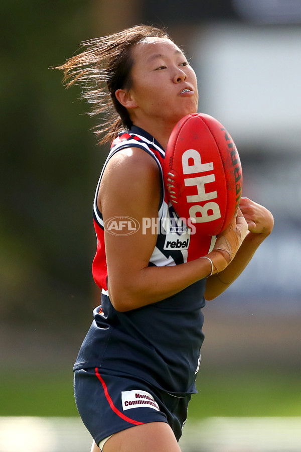 VFLW 2022 Round 10 - Darebin v Collingwood - 941383