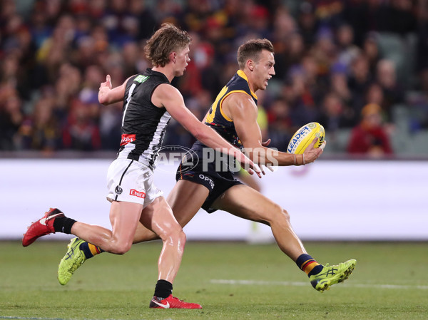 AFL 2021 Round 12 - Adelaide v Collingwood - 855841