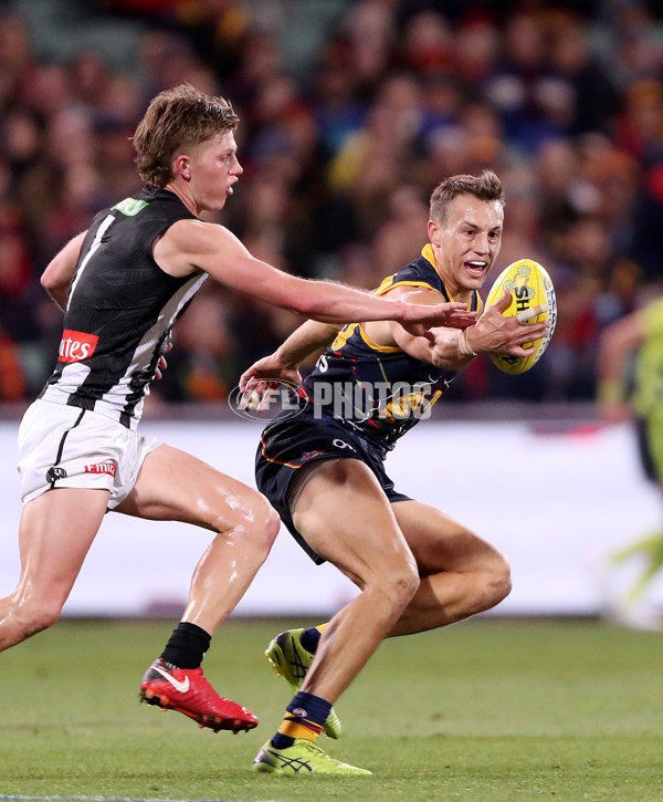 AFL 2021 Round 12 - Adelaide v Collingwood - 855842