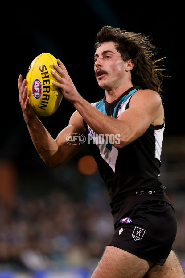 AFL 2021 Round 13 - Port Adelaide v Geelong - 857481