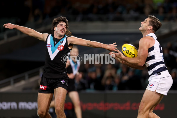 AFL 2021 Round 13 - Port Adelaide v Geelong - 857478