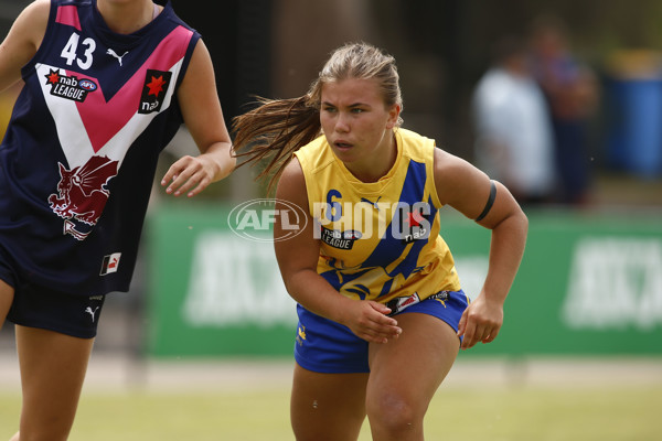 NAB League Girls 2022 - Sandringham Futures v Western Futures - 910795