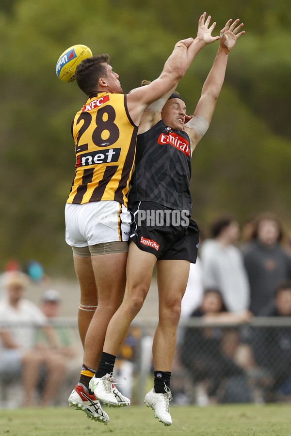 AFL 2022 Practice Match - Collingwood v Hawthorn - 912355