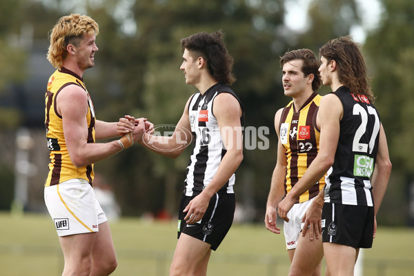 VFL 2021 Round 16 - Collingwood v Box Hill - 876368