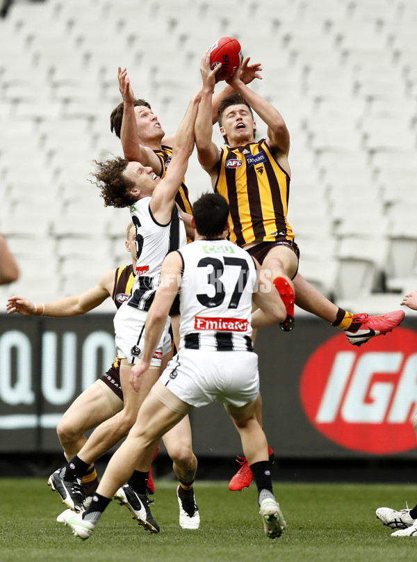 AFL 2021 Round 21 - Hawthorn v Collingwood - 879928