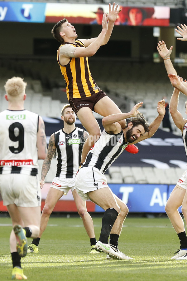 AFL 2021 Round 21 - Hawthorn v Collingwood - 880146