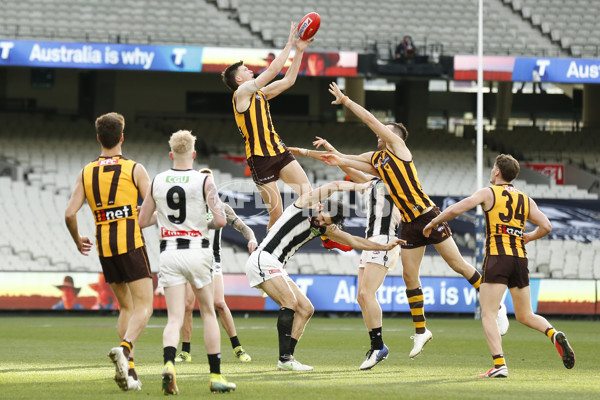 AFL 2021 Round 21 - Hawthorn v Collingwood - 880144