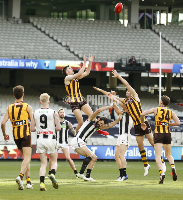 AFL 2021 Round 21 - Hawthorn v Collingwood - 880145