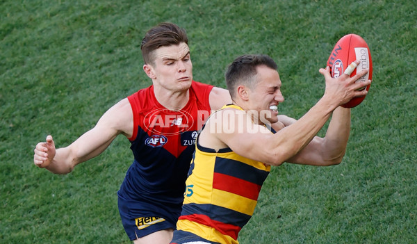 AFL 2021 Round 22 - Melbourne v Adelaide - 882637