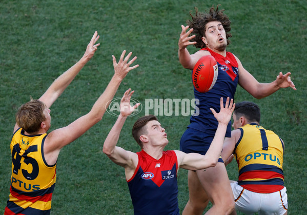 AFL 2021 Round 22 - Melbourne v Adelaide - 882662