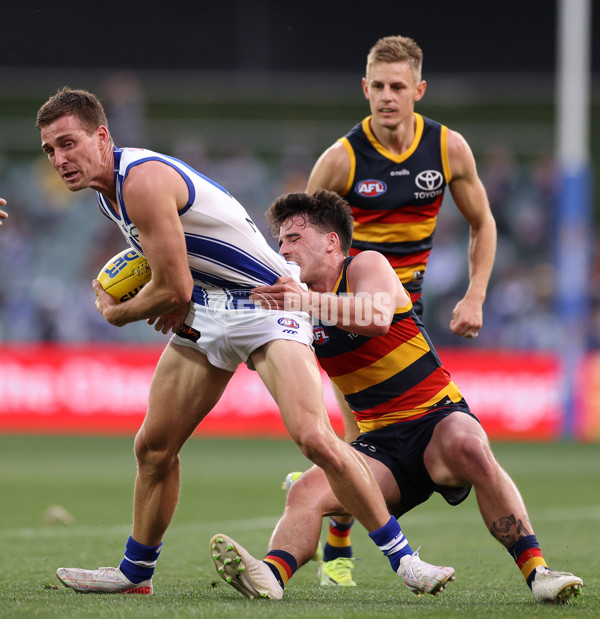 AFL 2021 Round 23 - Adelaide v North Melbourne - 885323