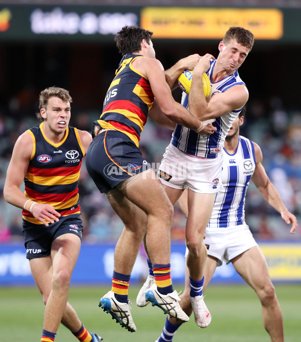 AFL 2021 Round 23 - Adelaide v North Melbourne - 885519