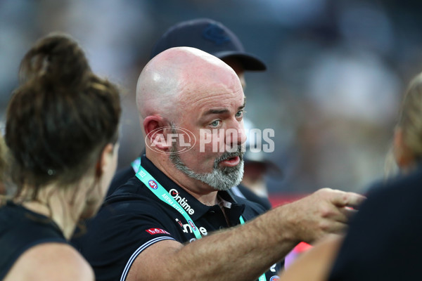 AFLW 2022 Round 02 - Geelong v Carlton - 903229