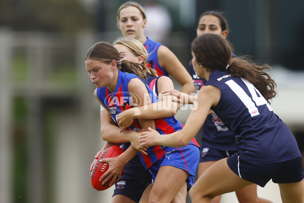 NAB League Girls 2022 - Sandringham Futures v Oakleigh Futures - 905198