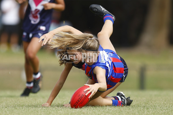 NAB League Girls 2022 - Sandringham Futures v Oakleigh Futures - 905211