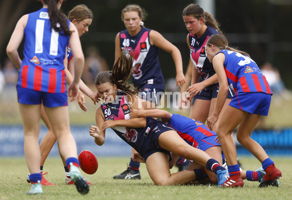 NAB League Girls 2022 - Sandringham Futures v Oakleigh Futures - 905186