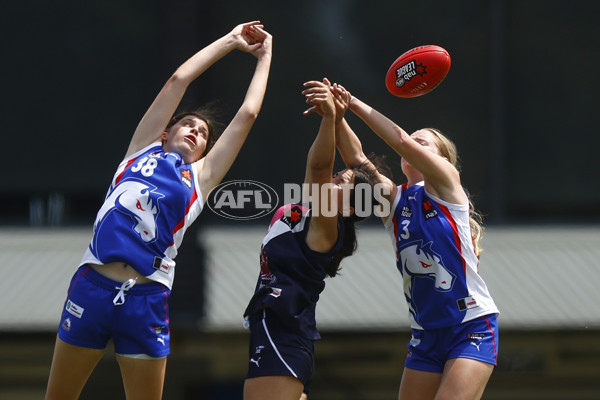 NAB League Girls 2022 - Sandringham Dragons v Oakleigh Chargers - 905232