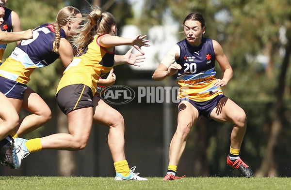 NAB League Girls 2022 - Dandenong Stingrays v Bendigo Pioneers - 906510