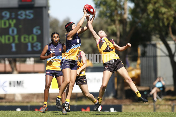 NAB League Girls 2022 - Dandenong Stingrays v Bendigo Pioneers - 906519