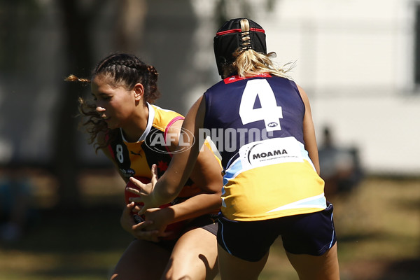 NAB League Girls 2022 - Dandenong Stingrays v Bendigo Pioneers - 906533