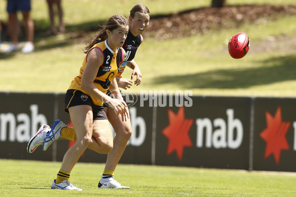 NAB League Girls 2022 - Dandenong Stingrays v Bendigo Pioneers - 906566