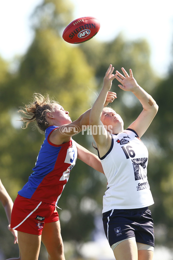 NAB League Girls 2022 - Geelong Falcons v Gippsland Power - 906863